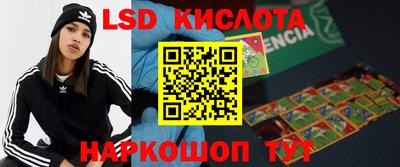 прущие грибы Малгобек