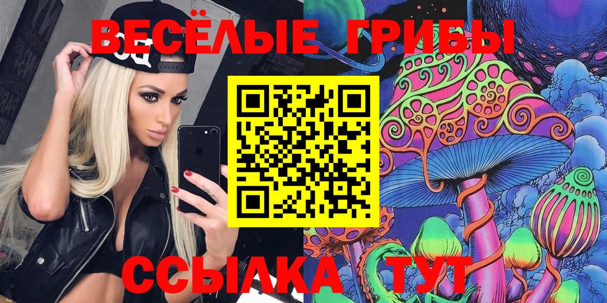 Псилоцибиновые грибы Cubensis  Вход с VPN  Гатчина 