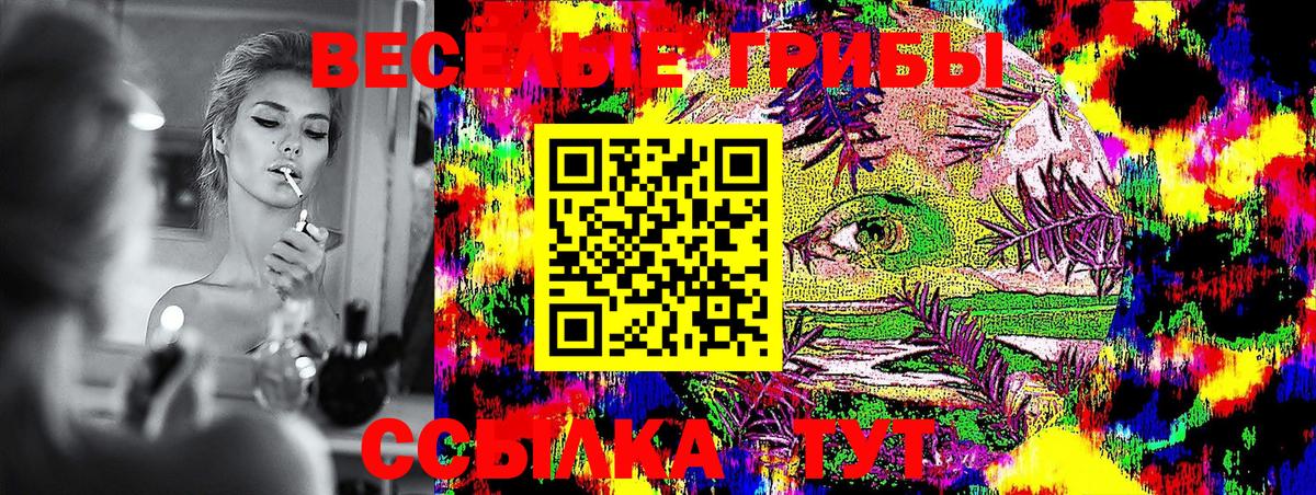 Псилоцибиновые грибы ЛСД Гатчина
